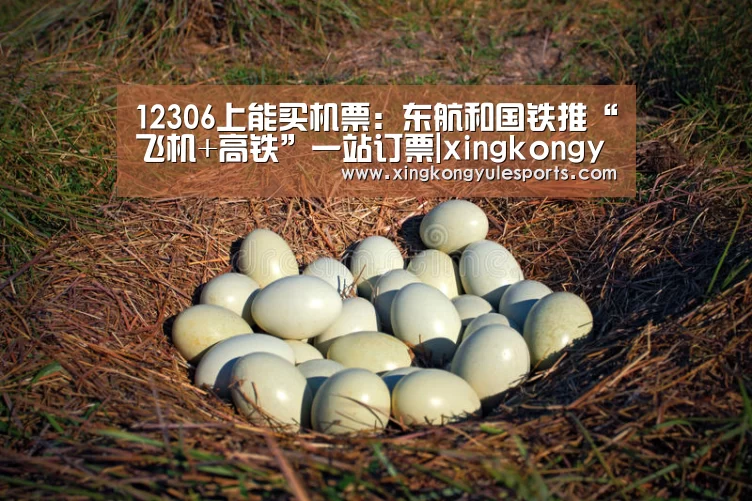 星空娱乐网址