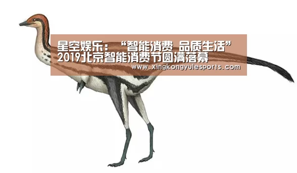 星空娱乐app