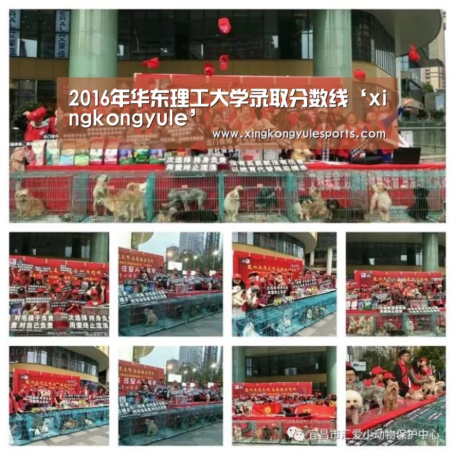 2016年华东理工大学录取分数线‘xingkongyule’(图3) 2016年华东理工大学录取分数线‘xingkongyule’(图3)