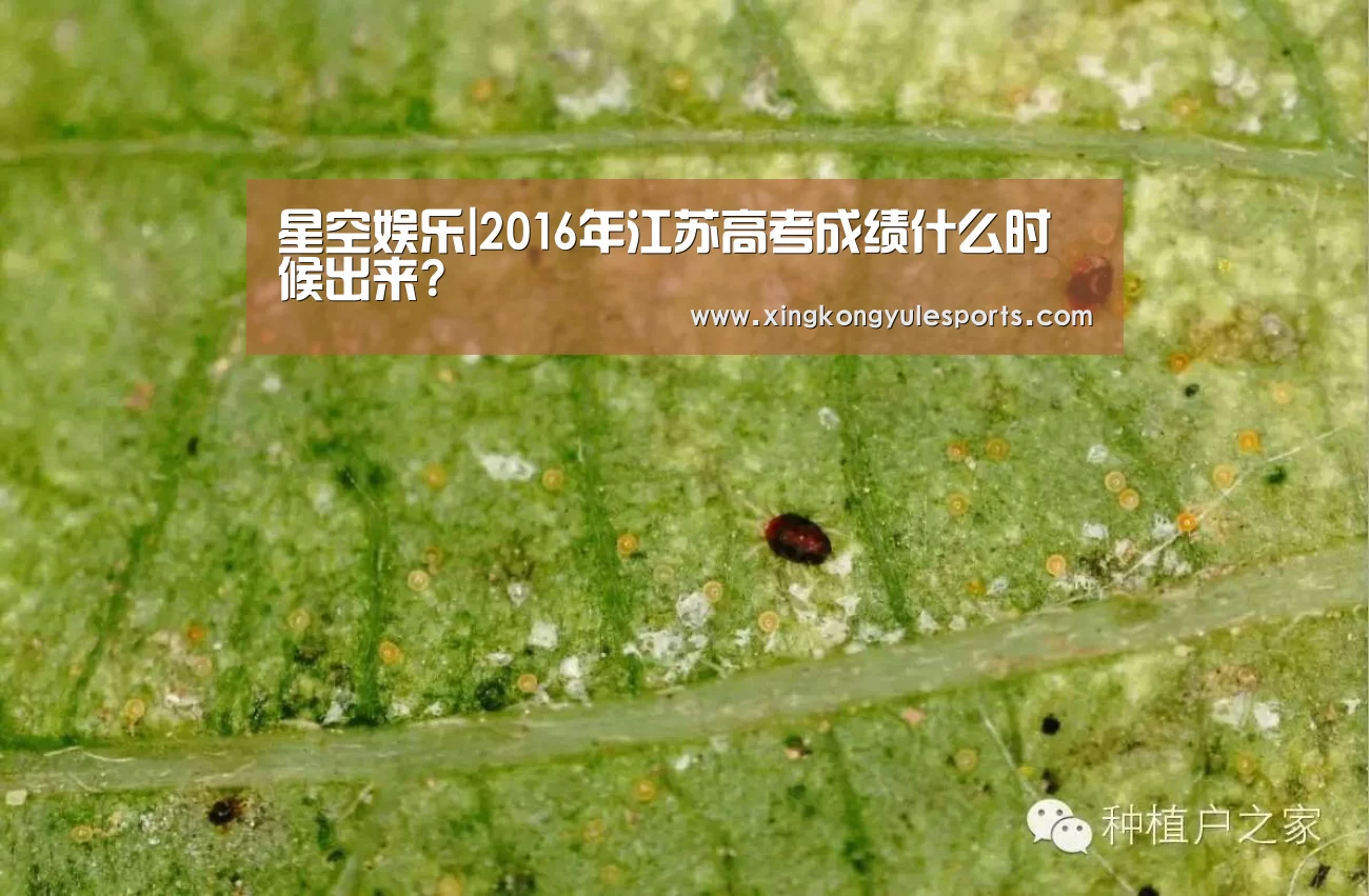 星空娱乐|2016年江苏高考成绩什么时候出来?(图4) 星空娱乐